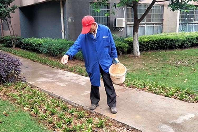 给绿植施肥