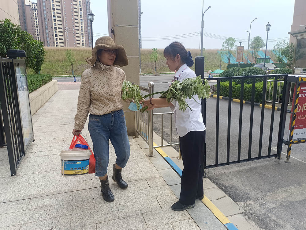 端午节送艾草